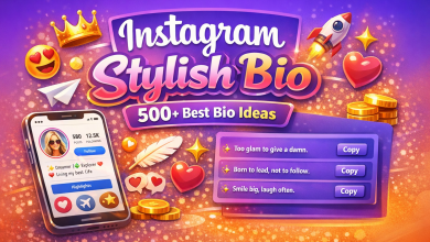 Instagram stylish bio examples with 500+ best bio ideas, copyable bios for your Instagram profile